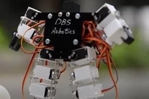 robot