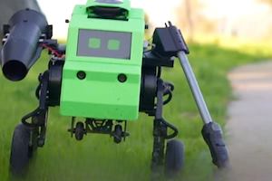 robot